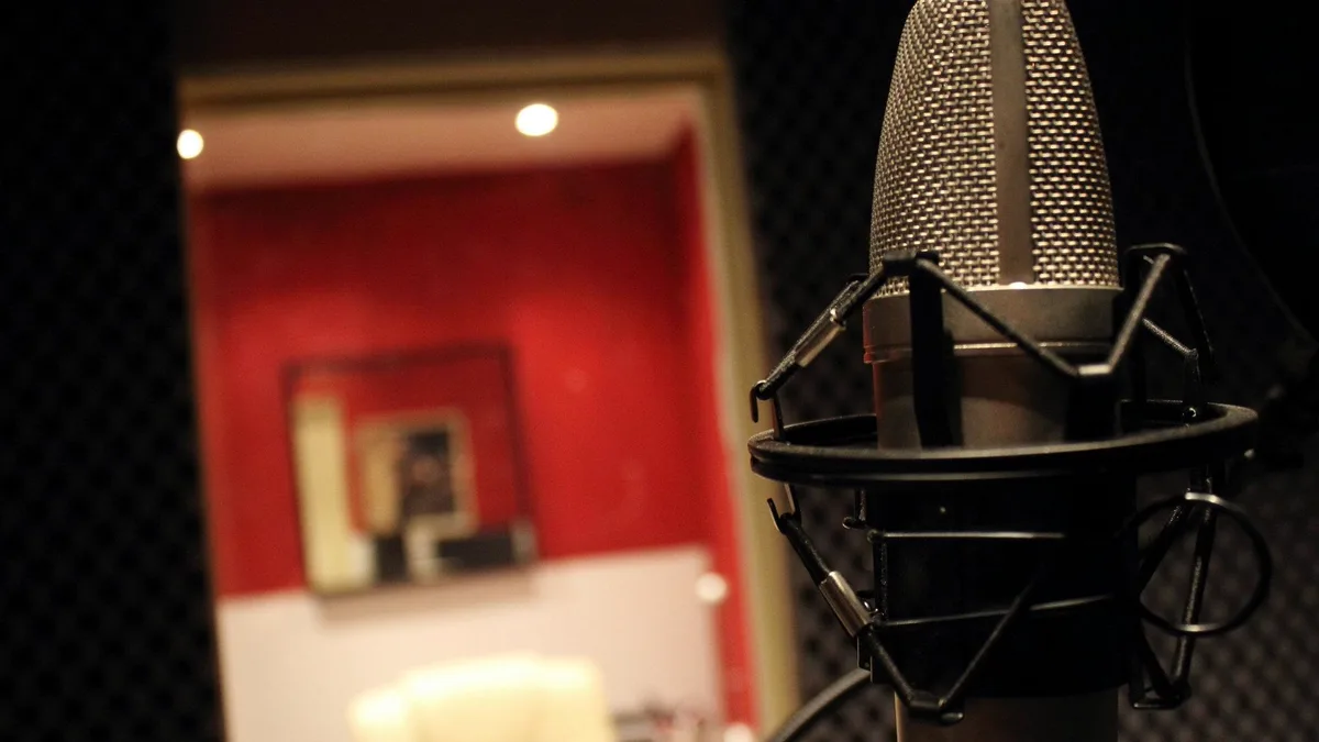 A large-diaphragm condenser microphone in a recording booth, the live room soft behind it.